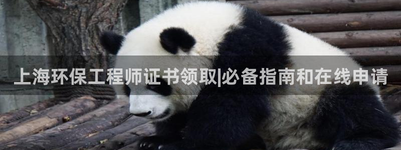 彩名堂一直不出结果怎么回事：上海环保