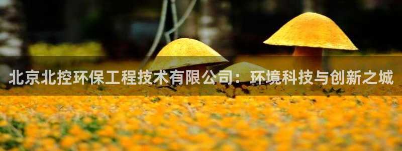 彩名堂预测免费计划怎么看的：北京北控环保工程技术有限公司：环