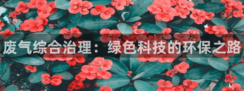 彩名堂还能用吗：废气综合治理：绿色科技的环保之路