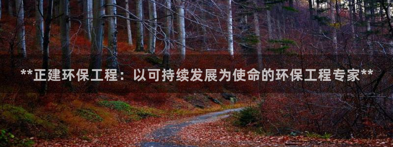 彩名堂预测计划：**正建环保工程：以可持续发展为使命的环保工