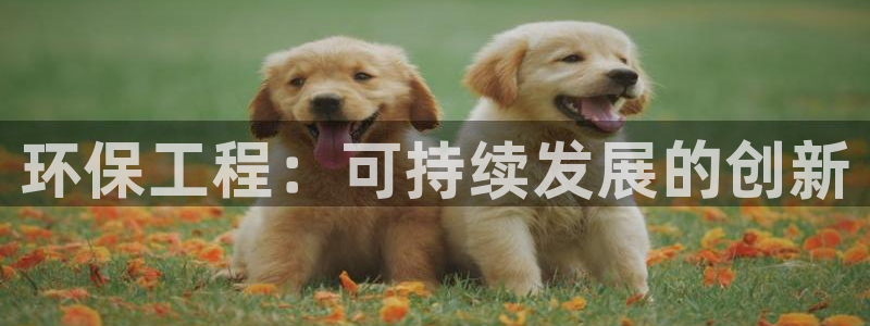 彩名堂975新版本：环保工程：可持续发展的创新