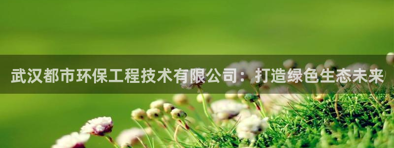 彩名堂幸运飞船计划：武汉都市环保工程技术有限公司：打造绿色生