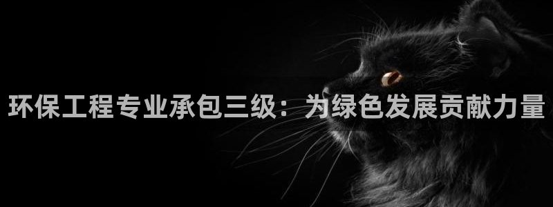 彩名堂最新版www：环保工程专业承包三级：为绿色发展贡献力量
